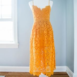 ASTR the label Marigold Lace A Line Midi dress S